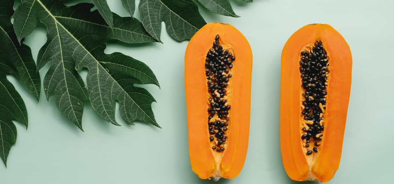 benefit from papaya