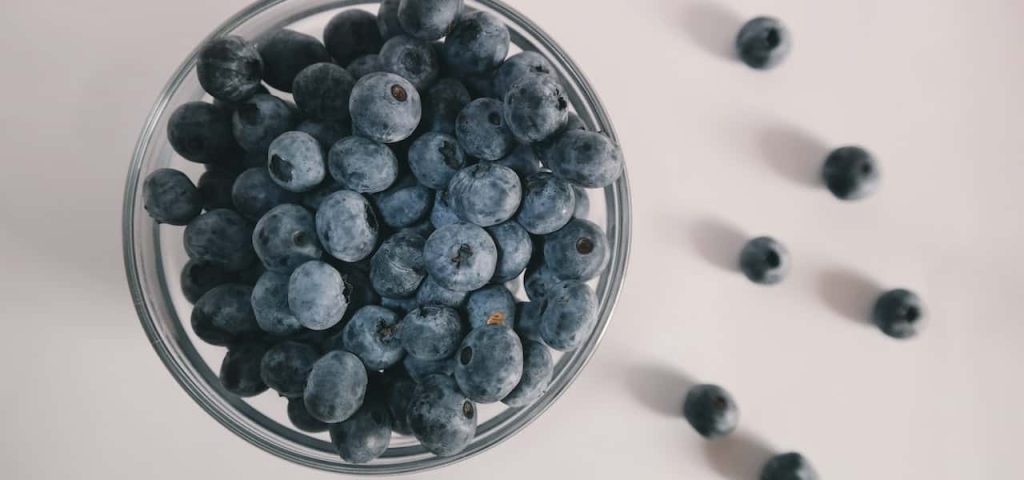 skin benefits of blueberries