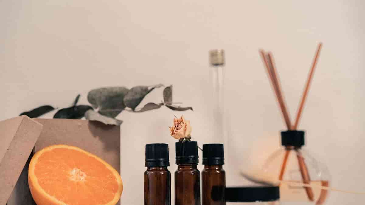 citrus and woody fragrances