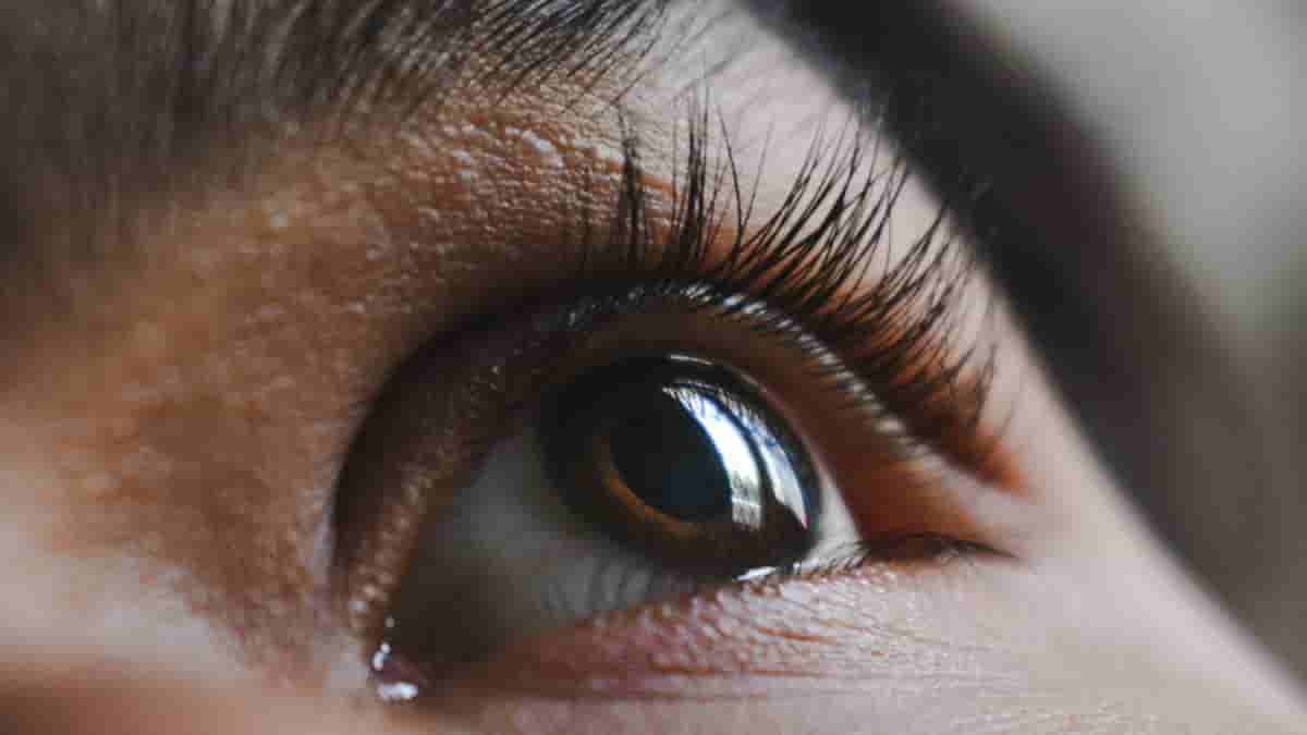 eyelash strips