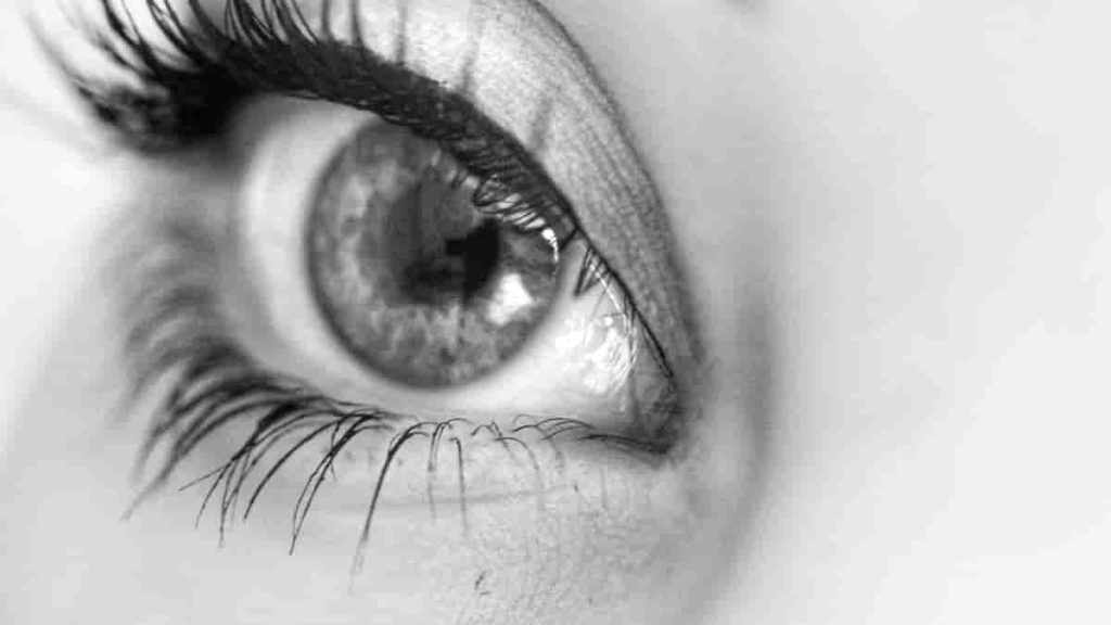 classic eyelashes