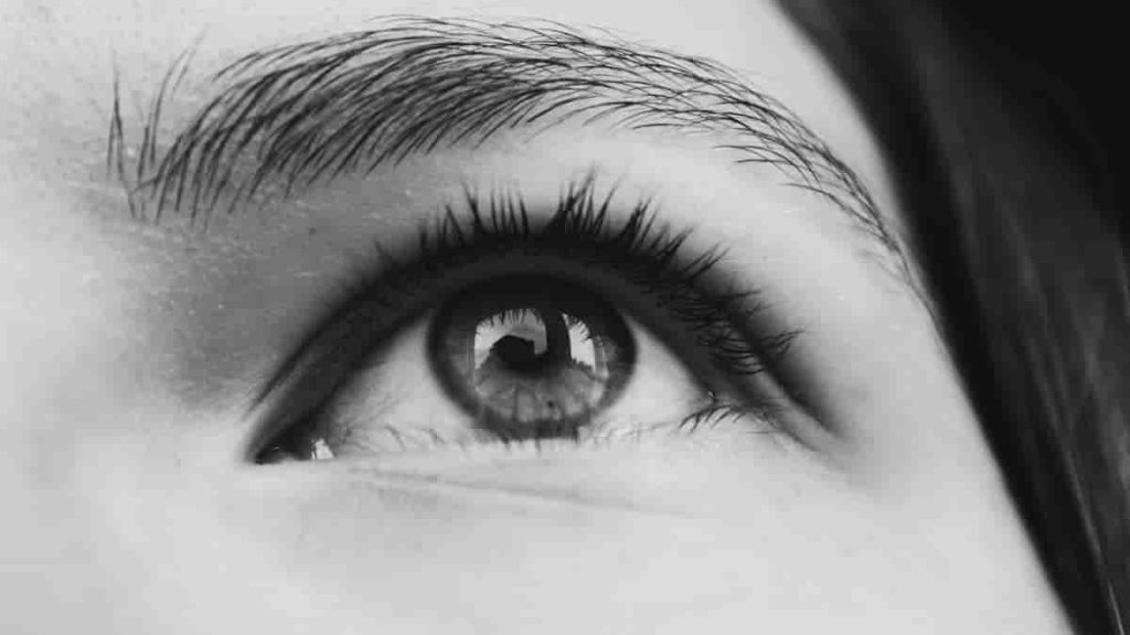 borboleta lash serum