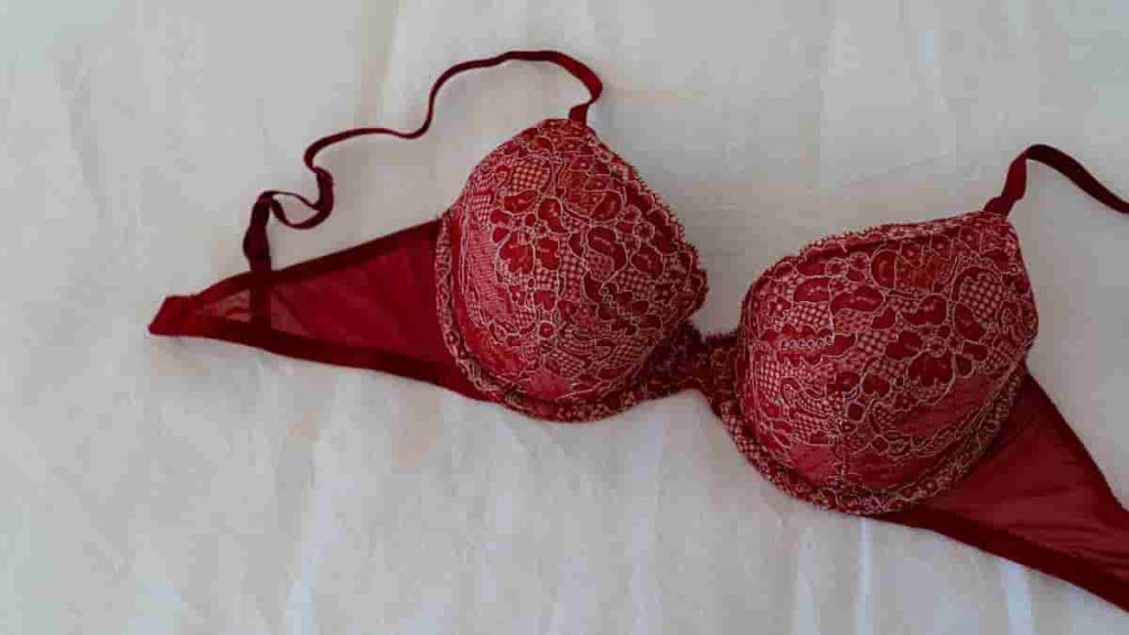 sexy red plus size lingerie