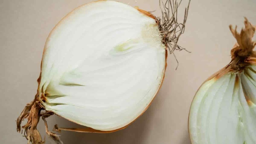 healthy blooming onion with guacmole