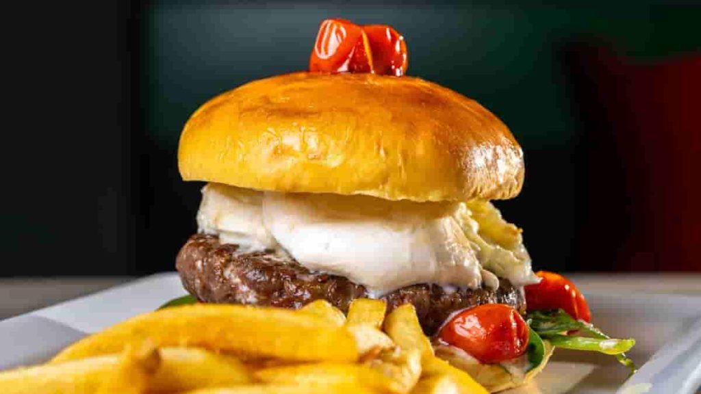 whole wheat healthy burger with mozzarella cheese